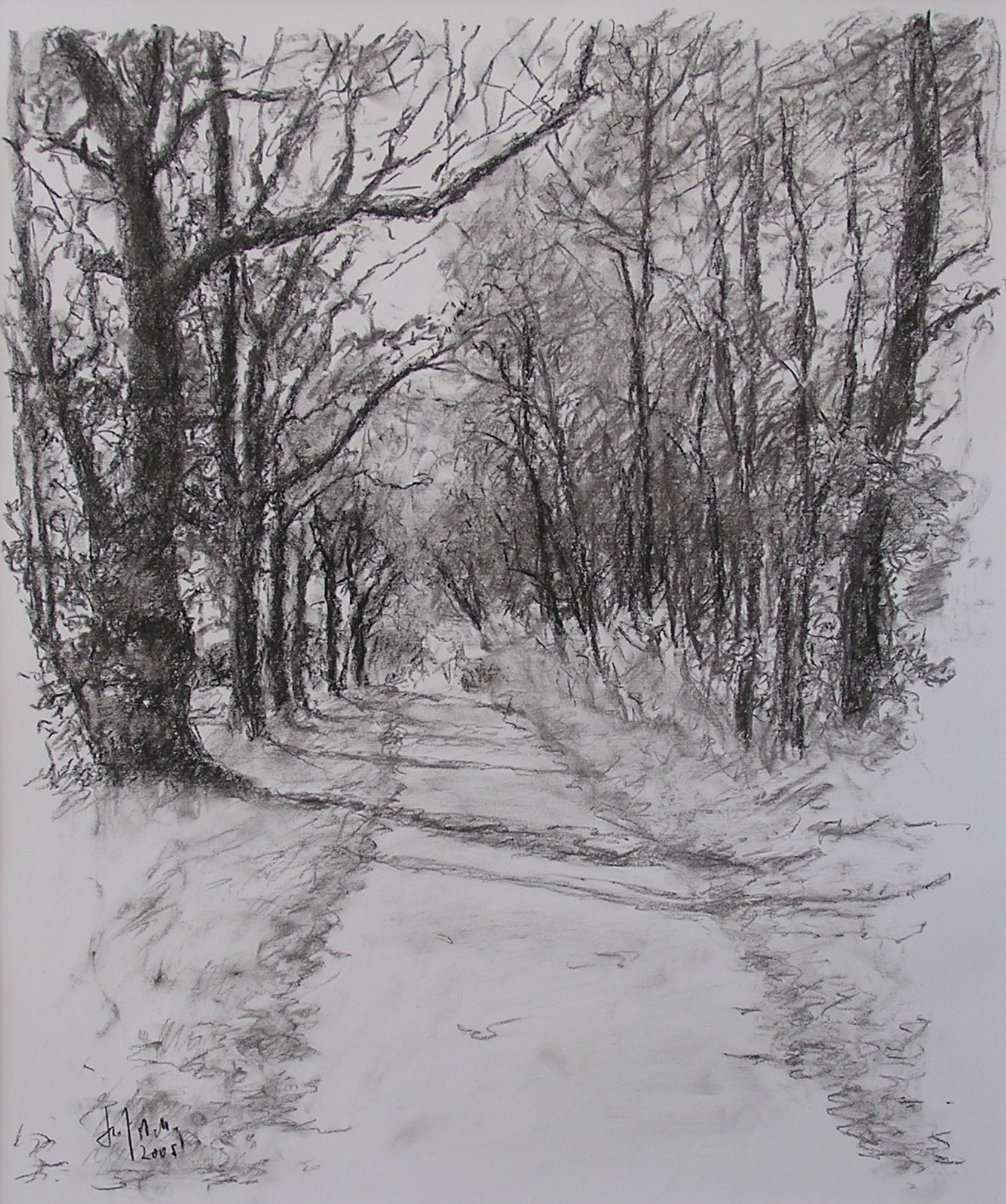 Allee im Erdinger Moos Kohle 2