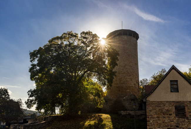 BadBerka SnapArt 5011 650